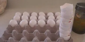 WATCH: How To Gain MASS Without Steroids – Jeff Seid