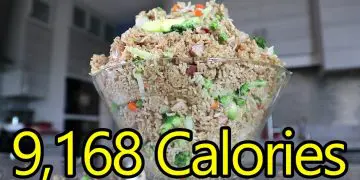 Matt Stonie 12.5lb Fried Rice Challenge