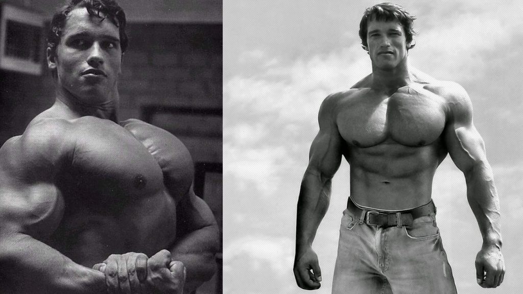 6 Day Schwarzenegger workout routine for Gym
