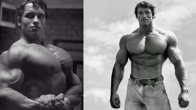 Arnold Chest Workout