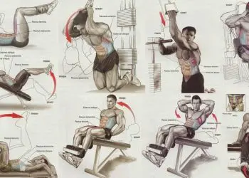 Bodybuilding Routines