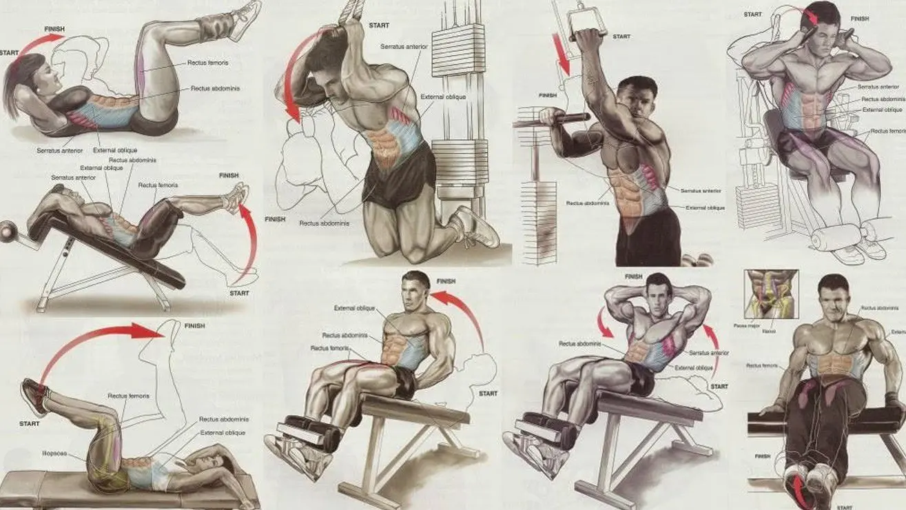 Bodybuilding Routines