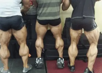 A Special Calf Training Routine To Make Stubborn Calves Grow