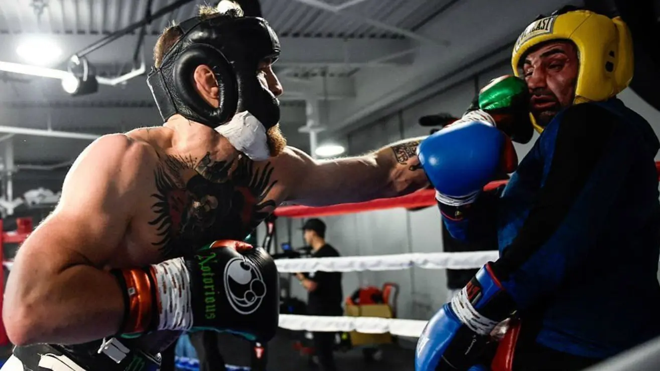 Paulie Malignaggi Conor McGregor