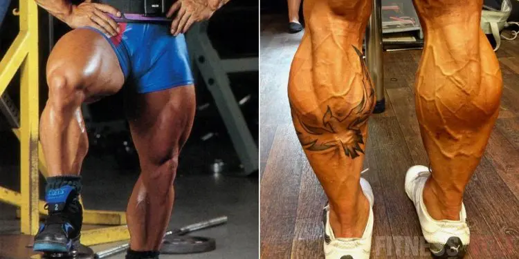 WATCH: Lee Priest Shows You How To Build Huge Calves