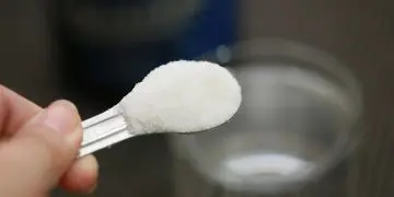 Creatine Powder