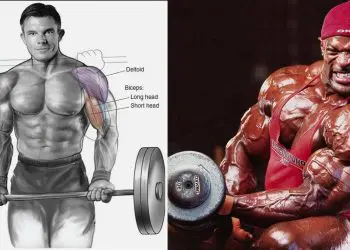 A Best Biceps Workout For Shirt Busting Arms!