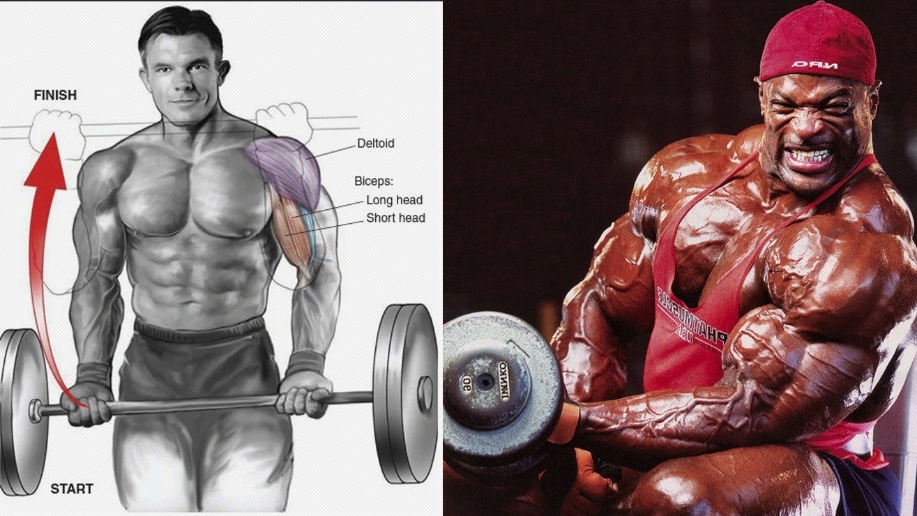 A Best Biceps Workout For Shirt Busting Arms! 