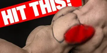 WATCH: Make Your Rear Delts Roar – Mass And Strength