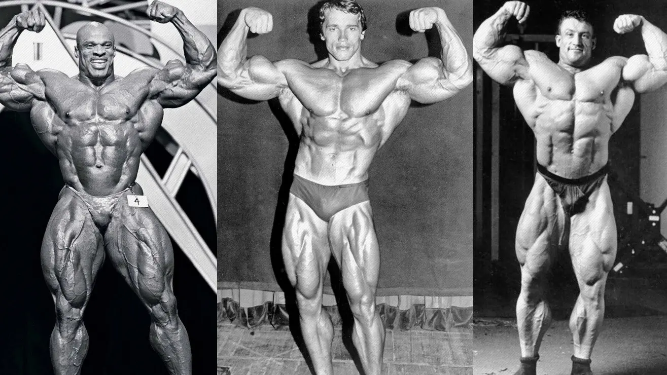 Real Bodybuilding Routines