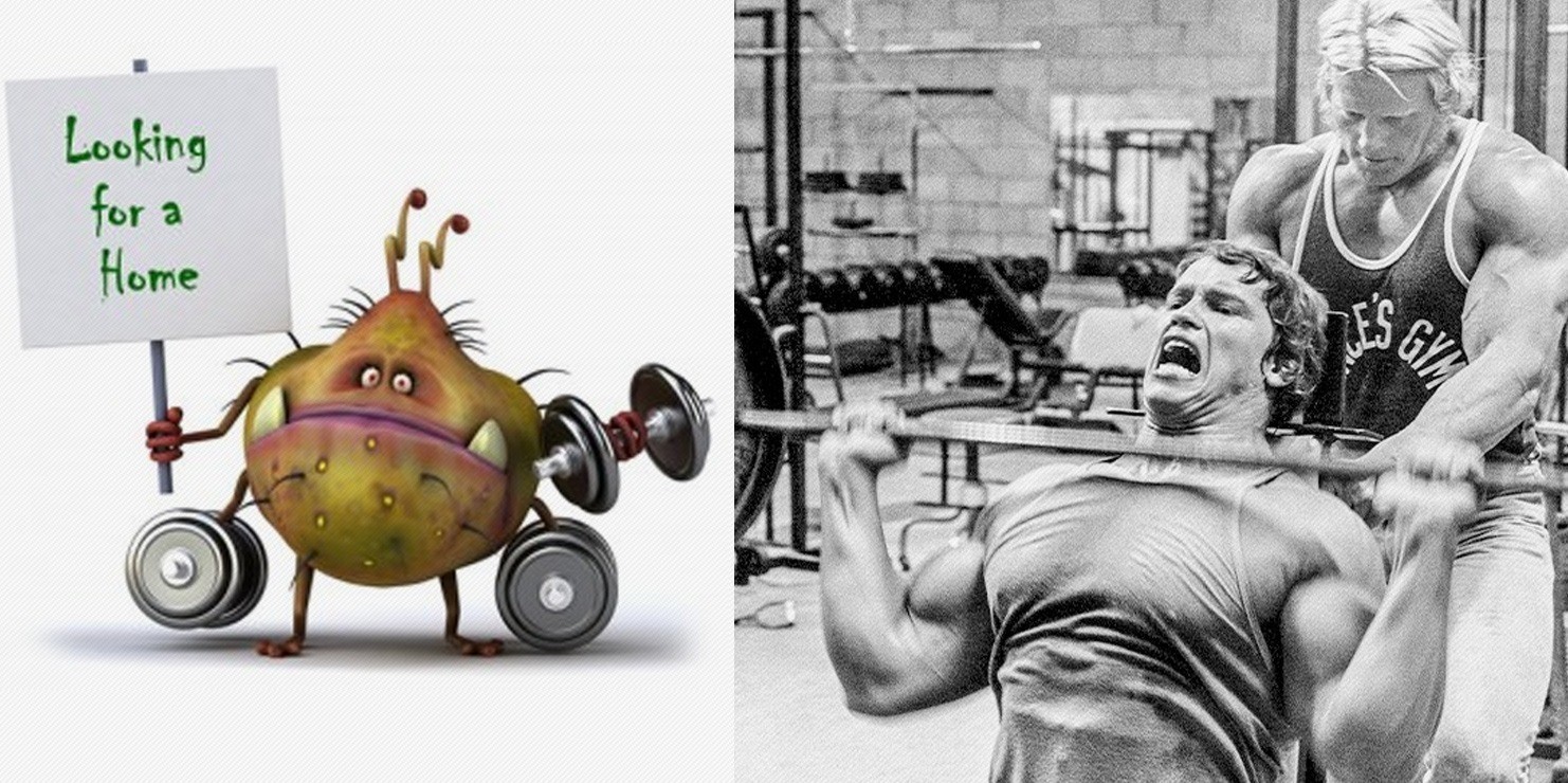 Study Finds Gym Equipment Have More Bacteria Than Public Toilet Seats Fitness Volt