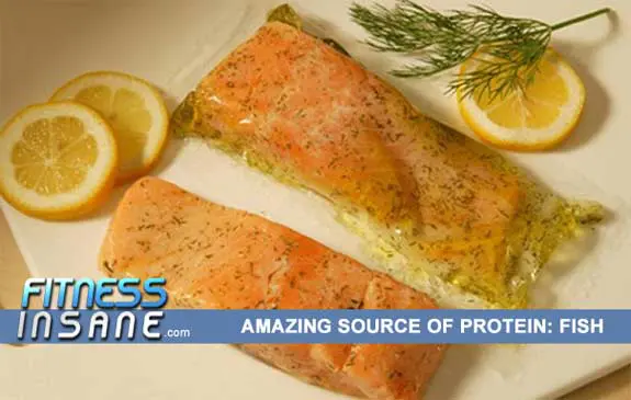 Fish-Protein-Top
