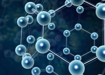 The Facts of Creatine