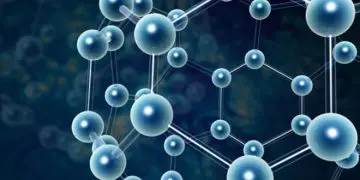 The Facts of Creatine