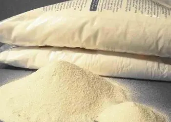 What Exactly is Whey Protein Powder?