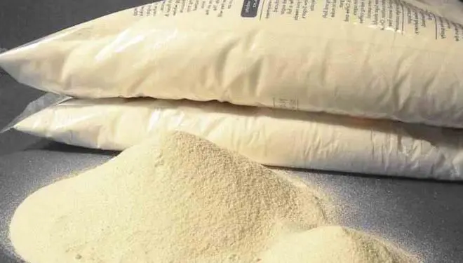 What Exactly is Whey Protein Powder?