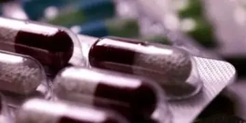 A Simple Article On 5 Basic Supplements