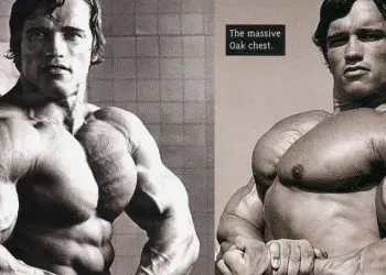 Arnold Schwarzenegger Mammoth Chest