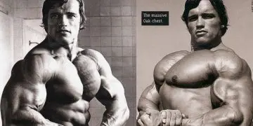 Arnold Schwarzenegger Mammoth Chest