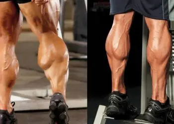 Muscle Talk: Calf Muscles