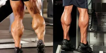 Muscle Talk: Calf Muscles