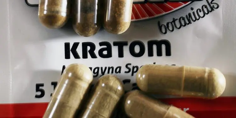 Matthew Dana Kratom
