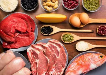 5 More Protein Sources Examined