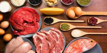 5 More Protein Sources Examined