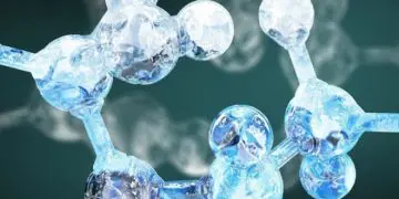 An Understanding of Amino Acids