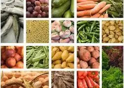 Muscle: Magnesium Builds Muscle Mass