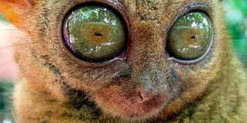 What’s the Best Preworkout?