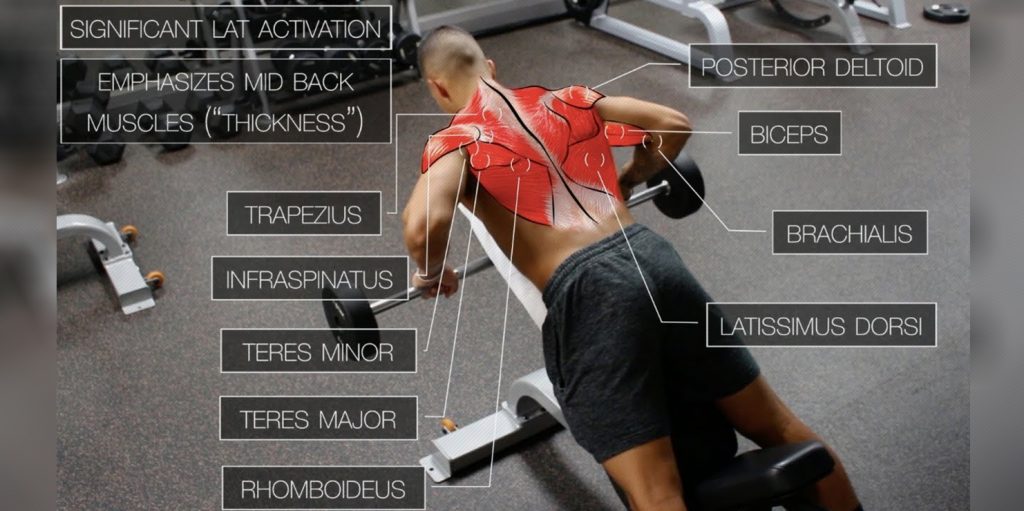 The Best ScienceBased Back Workout For Target Every Muscle Fitness Volt