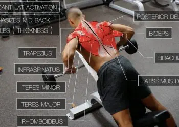 The Best Science-Based Back Workout For Target Every Muscle