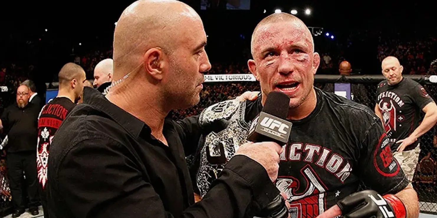 Georges St-Pierre vs Michael Bisping