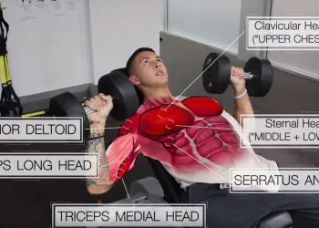 Science-Based Chest Workout