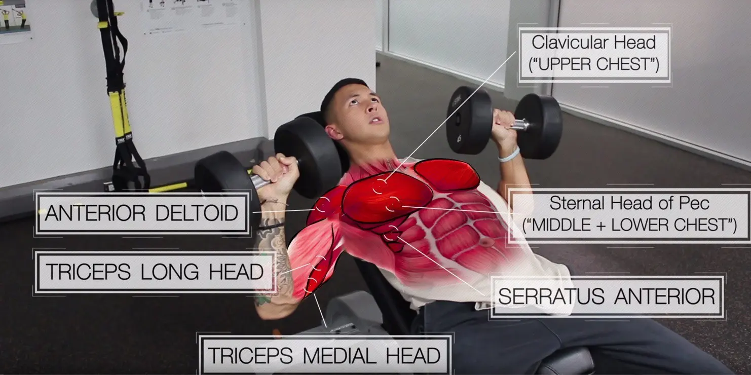 Science-Based Chest Workout