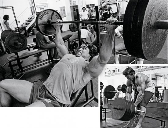 Chest And Back Training: Try Arnold's Superset For Superior Results ...