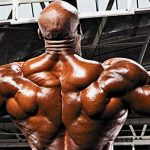 10 Back Workout