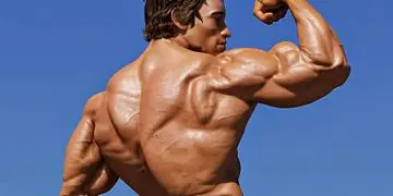 The P.H.U.L. Routine Will Give You Max Gains