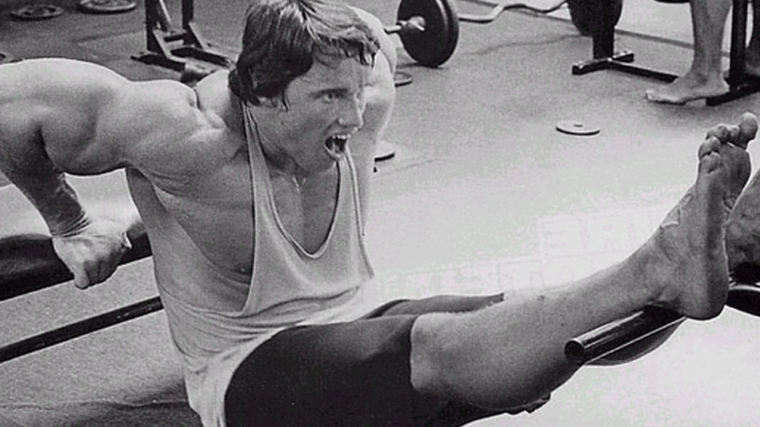 Secret Routines To Build The Size And Shape Of Your Horseshoe Triceps