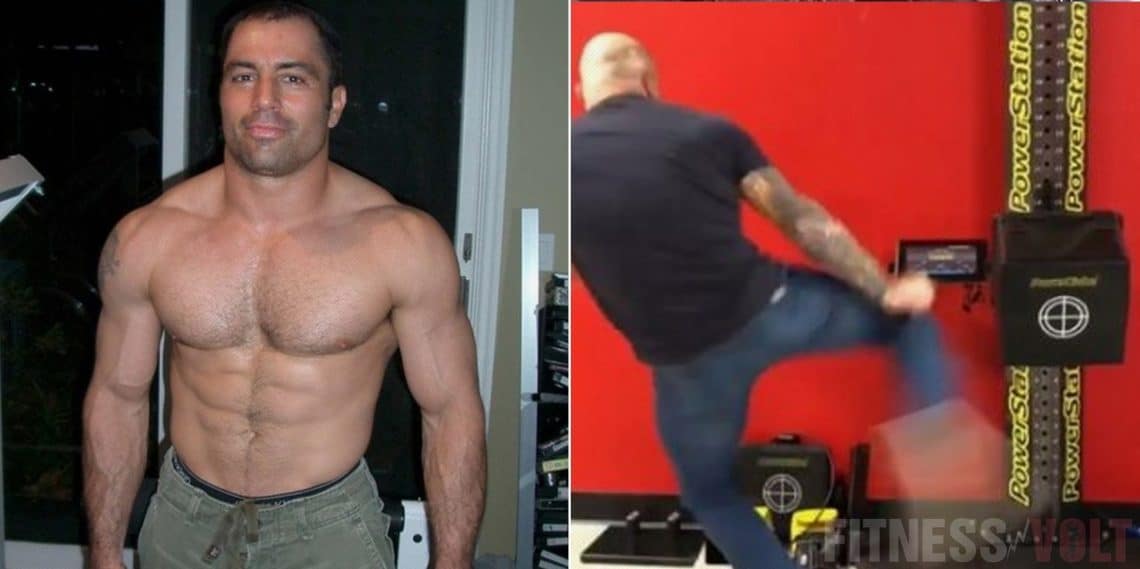 Video Joe Rogan Uses Kicks To Break Francis Ngannou’s Power Punch