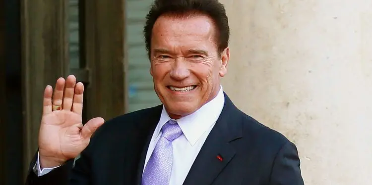 Arnold Schwarzenegger Is Back