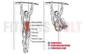 Hanging Leg Hip Raise