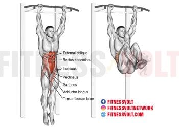Hanging Leg Hip Raise