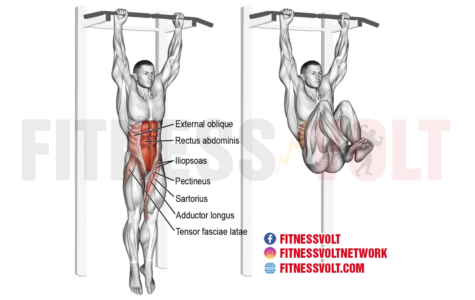 Hanging Leg Raise - Muscle & Fitness