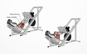 Incline Leg Press Guide