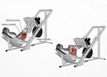 Incline Leg Press Guide
