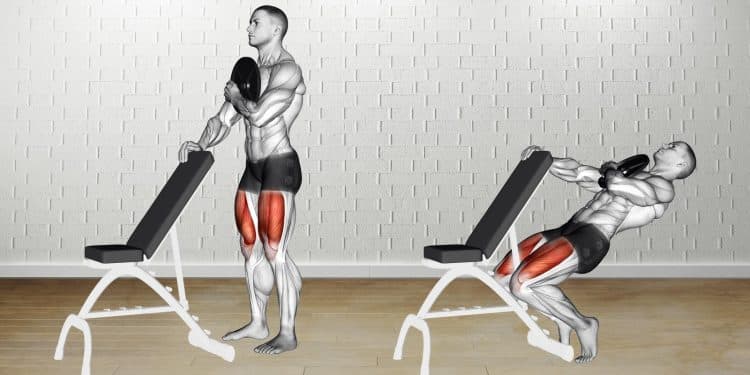 Weighted Sissy Squat