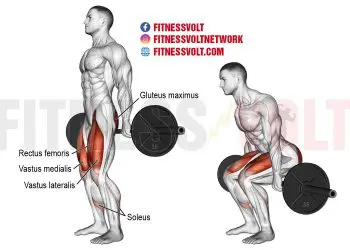 Master the Barbell Hack Squat: Target Your Leg Muscles Effectively