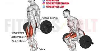 Master the Barbell Hack Squat: Target Your Leg Muscles Effectively